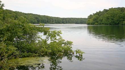 Wegen Verunreinigungen wird vom Baden im Berliner Schlachtensee wird derzeit abgeraten.