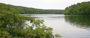 Wegen Verunreinigungen wird vom Baden im Berliner Schlachtensee wird derzeit abgeraten.