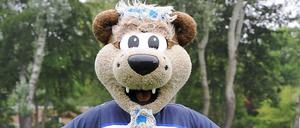 Hertinho - Herthas Start im Wedding.