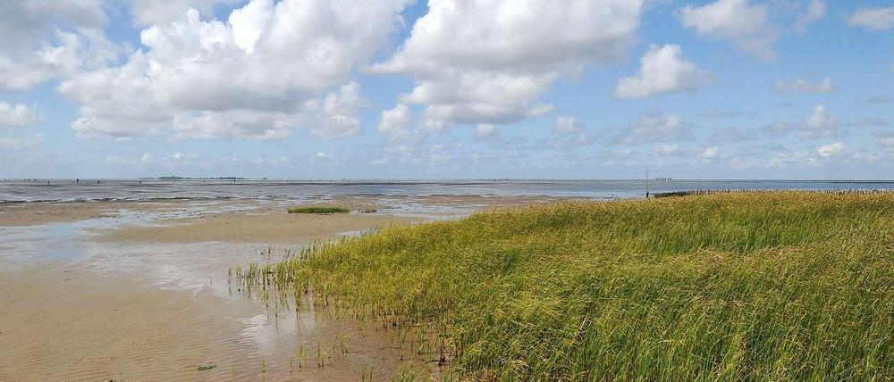 Nationalpark Hamburgisches Wattenmeer.