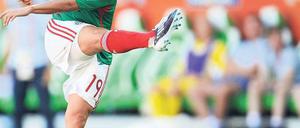 Flieg hoch, mein kleiner Freund.