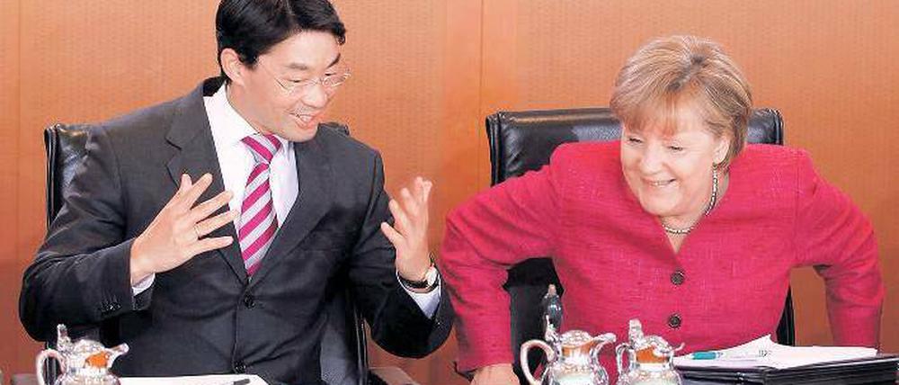 Irgendwie einig. Vizekanzler Philipp Rösler (FDP) und Bundeskanzlerin Angela Merkel (CDU) reden wieder über Steuersenkungen.