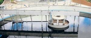 Fischen im Trüben. Ob der Ehec-Erreger, der im Erlenbach gefunden wurde, aus dieser Kläranlage stammt, wird noch überprüft. 