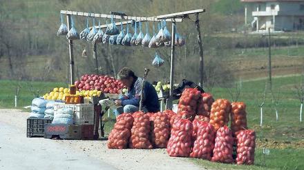 Warten auf die Kunden. Die Hälfte der Albaner arbeitet in der Landwirtschaft. Was ihnen fehlt, sind professionelle Strukturen.