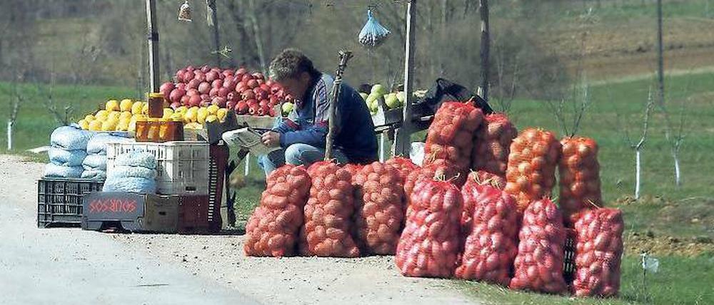 Warten auf die Kunden. Die Hälfte der Albaner arbeitet in der Landwirtschaft. Was ihnen fehlt, sind professionelle Strukturen. 