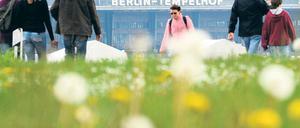 Natur zwischen Neubauten.