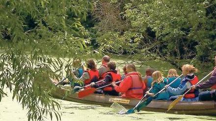 Und jetzt alle im Takt. Auch Paddeltouren werden beim Langen Tag der Stadtnatur an diesem Wochenende angeboten.