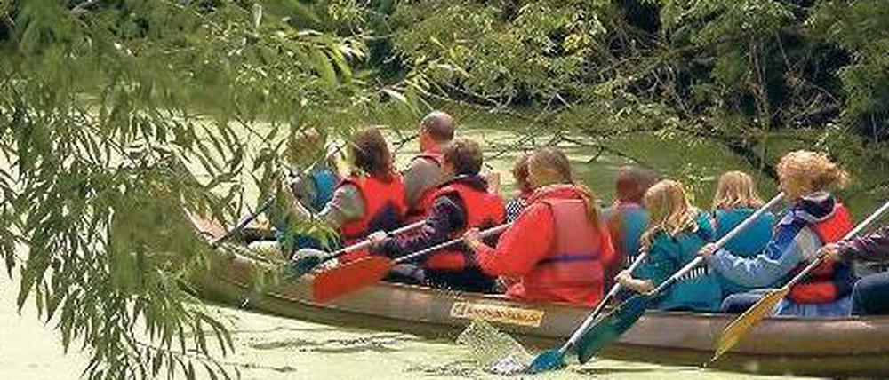 Und jetzt alle im Takt. Auch Paddeltouren werden beim Langen Tag der Stadtnatur an diesem Wochenende angeboten.