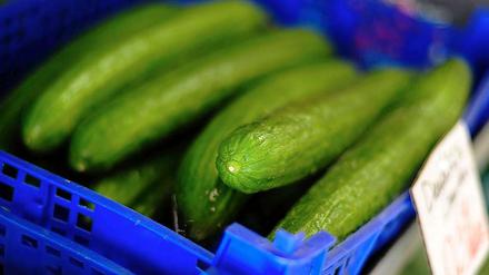 Drei der mit den gefährlichen EHEC-Erregern verseuchte Gurken kamen aus Spanien. Aus dem selben Betrieb wurden Gurken auch nach Berlin geliefert.
