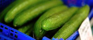 Drei der mit den gefährlichen EHEC-Erregern verseuchte Gurken kamen aus Spanien. Aus dem selben Betrieb wurden Gurken auch nach Berlin geliefert.