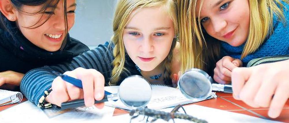 Durchblick. Die Schulwesen der Länder unterscheiden sich dermaßen stark, dass Familien, die umziehen müssen, sich kaum zurechtfinden – eine Mobilitätsbremse. 