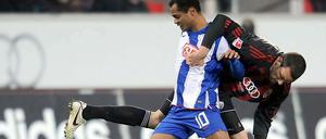 Wieder am Ball für Hertha: Raffael, hier im Kampf mit Ingolstadts Malte Metzelder.