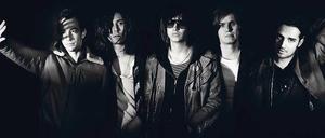 Männer im Mondlicht. Albert Hammond Jr., Nick Valensi, Julian Cassablancas, Nikolai Fraiture und Fabrizio Moretti.