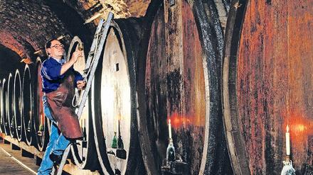 Reifeprüfung. Der Kellermeister hat gut zu tun. 650 000 Liter Wein lagern hinter meterdicken Mauern. Foto: picture-alliance/Bildagentur Huber
