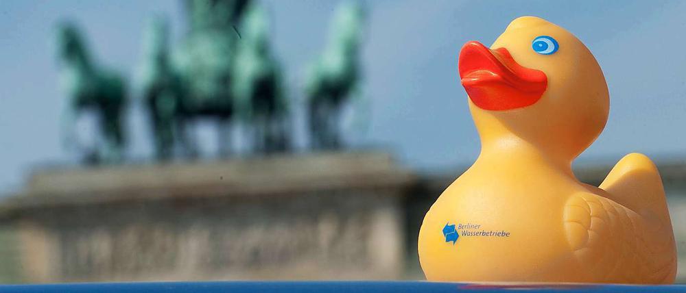 Keine Ente: Das Wasser in Berlin ist zu teuer.
