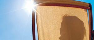 Quelle des Lebens. Das Sonnenlicht kurbelt die Bildung von Vitamin D in der Haut an. Foto: ddp