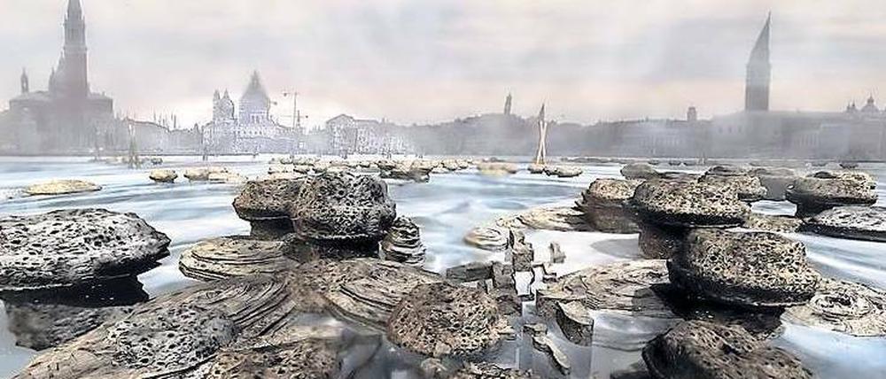 Hoffnung für Venedig. Die Londoner Architektin Rachel Armstrong stellt sich vor, die Lagunenstadt mit Bakterien zu retten, die aus Kohlendioxid Kalkstein herstellen. Das Geröll stützt dann die Holzpfähle.