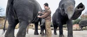 Job mit Aufstiegschancen. Man kann Revierleiter oder Zooinspektor werden. Foto: dpa