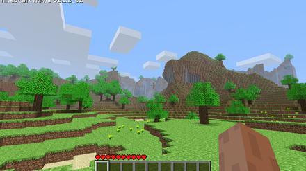 Szene aus "Minecraft".