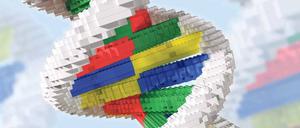 Vorbild zum Nachbauen. Das Erbgut von Lebewesen zusammensetzen wie aus Legosteinen, das ist die Vision der Biologie. 
