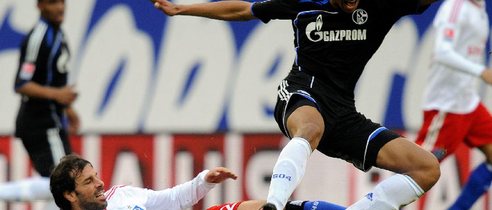 Hamburger SV - FC Schalke 04