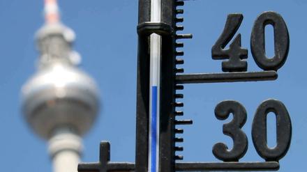 Bis 2050 wird die Temperatur in Berlin Klimaforschern zufolge im Jahresdurchschnitt um 2,5 Grad Celsius steigen. 