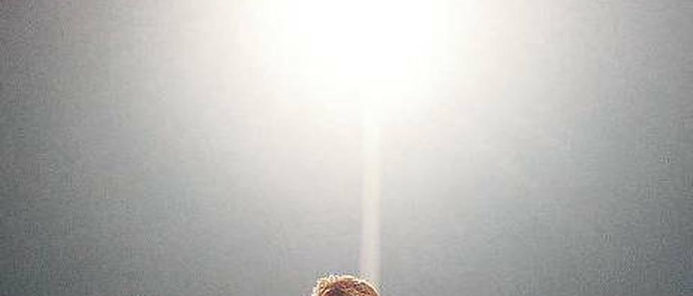 Einsam im Rampenlicht. Mit Sportdirektor Christian Nerlinger legte sich Louis van Gaal (o.) aus nichtigem Grund an – Nerlinger reagierte ungewohnt scharf. 