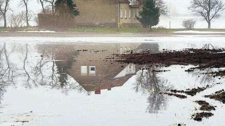 Leben mit der Flut. Bilder wie dieses, entstanden unweit von Golzow, sind in weiten Teilen des Oderbruchs seit dem Frühjahr vergangenen Jahres schon Alltag. Foto: Patrick Pleul/dpa