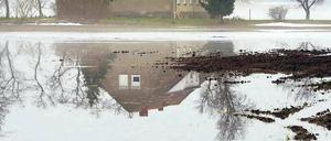 Leben mit der Flut. Bilder wie dieses, entstanden unweit von Golzow, sind in weiten Teilen des Oderbruchs seit dem Frühjahr vergangenen Jahres schon Alltag. Foto: Patrick Pleul/dpa