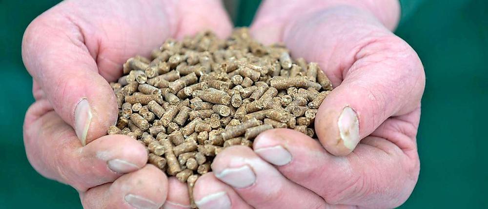 Die Herstellung von Futtermitteln soll zukünftig schärfer kontrolliert werden.