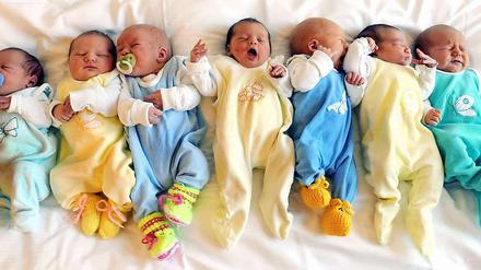 Viel los auf der Babystation. In Deutschland steigt die Zahl der Geburten an. 