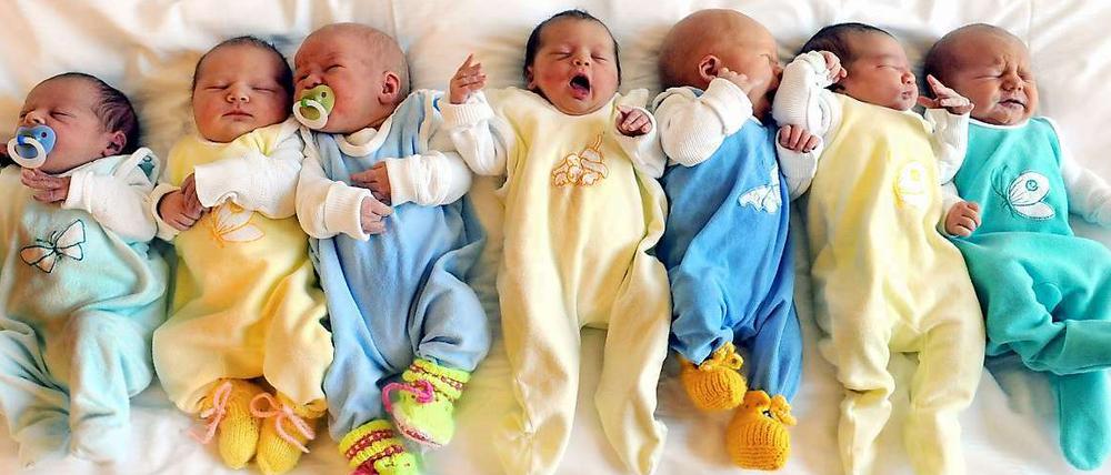 Viel los auf der Babystation. In Deutschland steigt die Zahl der Geburten an.
