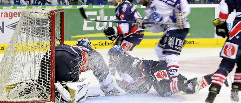 Adler im Ansturm? Im September konnten die Eisbären ihr erstes Heimspiel gegen Mannheim 3:2 nach Penaltyschießen gewinnen