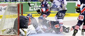 Adler im Ansturm? Im September konnten die Eisbären ihr erstes Heimspiel gegen Mannheim 3:2 nach Penaltyschießen gewinnen