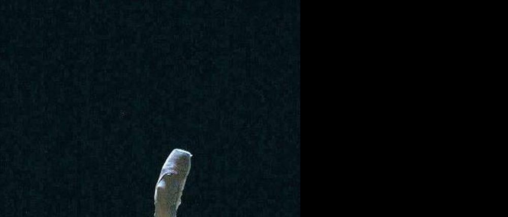 Voilà! Im Ballett der Pariser Oper gehören auch solche Tanzfiguren dazu. 