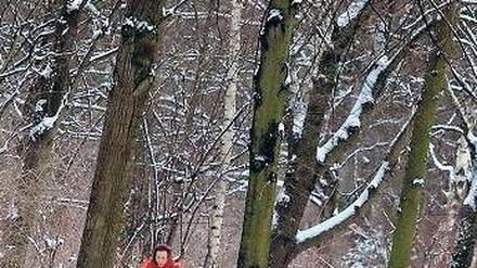 Winterruhe. Der Frost schadet den Stadtbäumen nicht. Aber die Finanznot der Ämter setzt ihnen zu: Mal wird „auf Vorrat“ radikal geschnitten, mal ersatzlos gefällt.