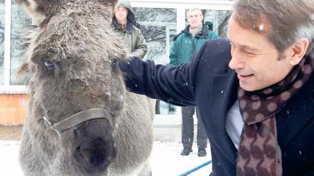 Streichelzoo für den Senator. Ulrich Nußbaum wünschte sich für den Besuch des Tierparks, einen Esel streicheln zu können. Bitte schön: Linda, 22, folgte brav auch den Wünschen der Fotografen.