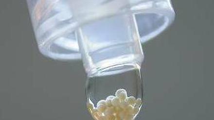 Die Kugel geben. Diese kleinen Knorpelzellkügelchen, Sphäroide genannt, werden dem Patienten transplantiert. Sie können ein Loch im geschädigten Knorpel schließen.