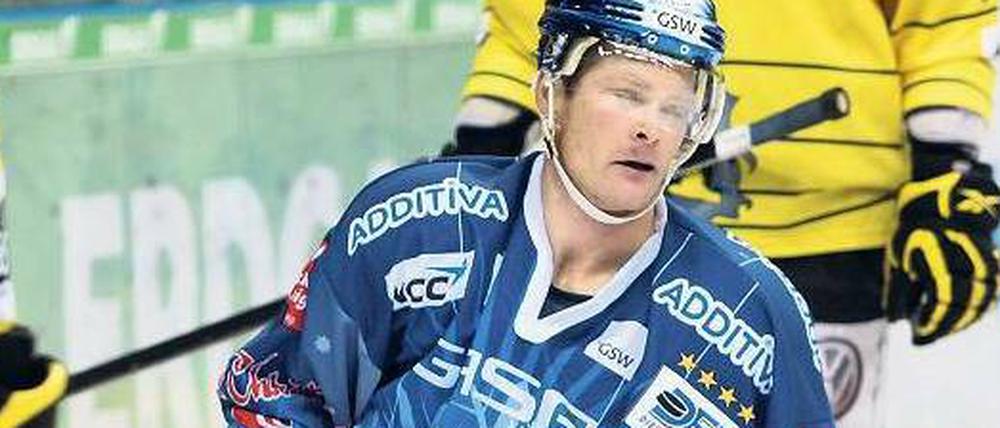 Weihnachtliches Outfit? Eisbär Steve Walker trägt hellblau zum Fest.