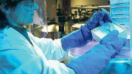 Mehr Geld wird es in jedem Fall geben, auch für die Mitarbeiter von Bayer-Schering in
