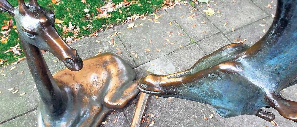 Mutterglück. Die Giraffe und ihr Kleines auf der Schlossinsel. 