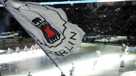 Die Eisbären verstehen sich als Klub für ganz Berlin.