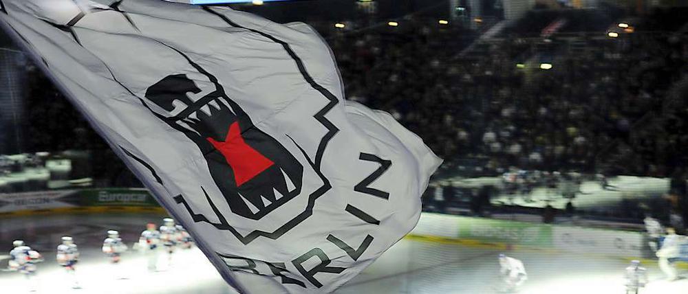 Die Eisbären verstehen sich als Klub für ganz Berlin.