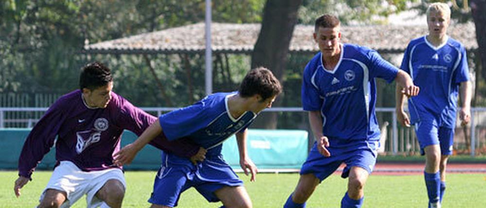 Die A-Jugend von Hertha 03 ist Dauergast in der Bundesliga. 