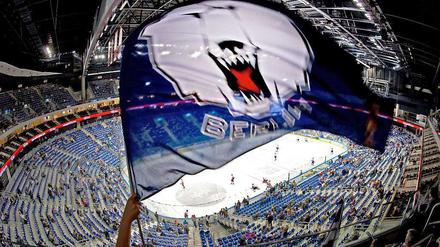 Die Eisbären brauchen ihre Fans.