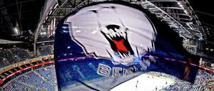 Die Eisbären brauchen ihre Fans.