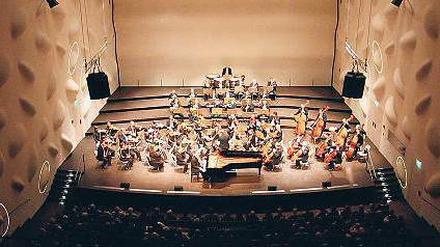 Akustik mit Noppen. Der Potsdamer Nikolaisaal wird zehn. Foto: ddp