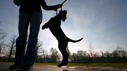 Sie dürfen hier nicht mehr rein. Für Hunde hat es sich in einigen Parkanlagen ausgetobt.
