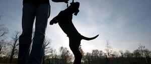 Sie dürfen hier nicht mehr rein. Für Hunde hat es sich in einigen Parkanlagen ausgetobt.