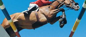 Der Himmel über Aachen. Eric Lamaze und Hickstead heben ab. Foto: dpa